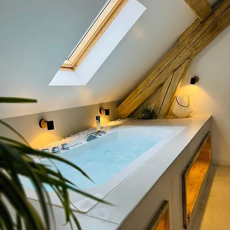 Superbe Appartement Avec • Sauna • Spa • Massage Belfort Exterior photo