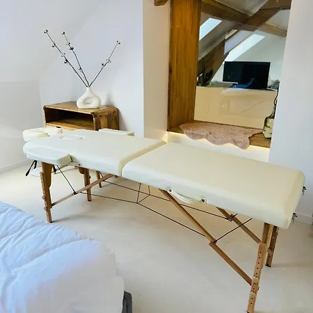Superbe Appartement Avec • Sauna • Spa • Massage Belfort Exterior photo