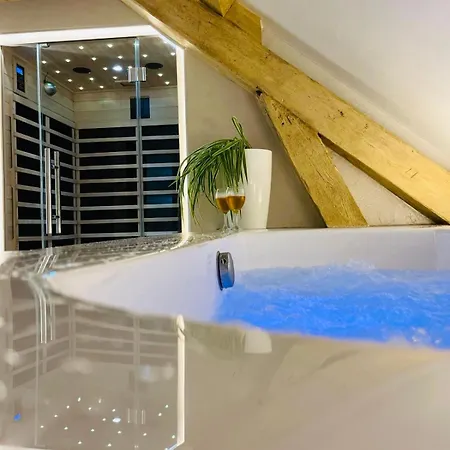 Superbe Appartement Avec • Sauna • Spa • Massage Belfort Exterior photo