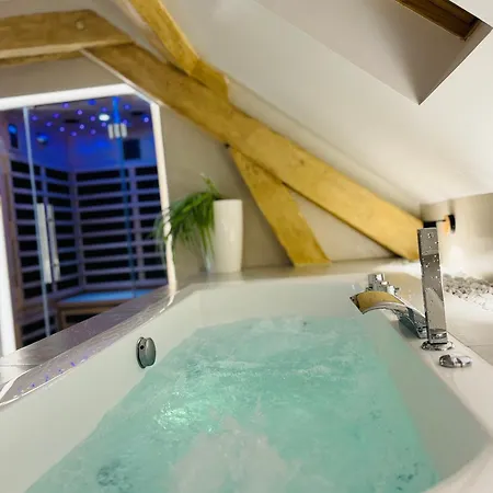 Superbe Appartement Avec • Sauna • Spa • Massage Belfort Exterior photo