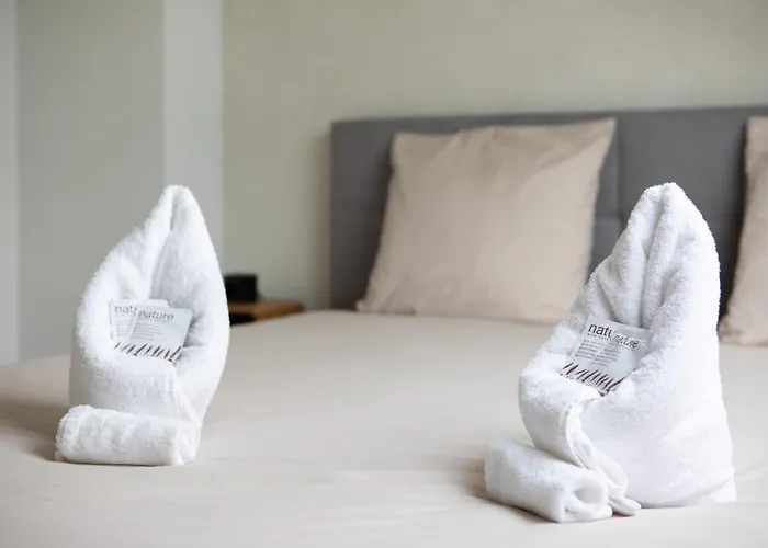 Superbe Appartement Avec • Sauna • Spa • Massage
